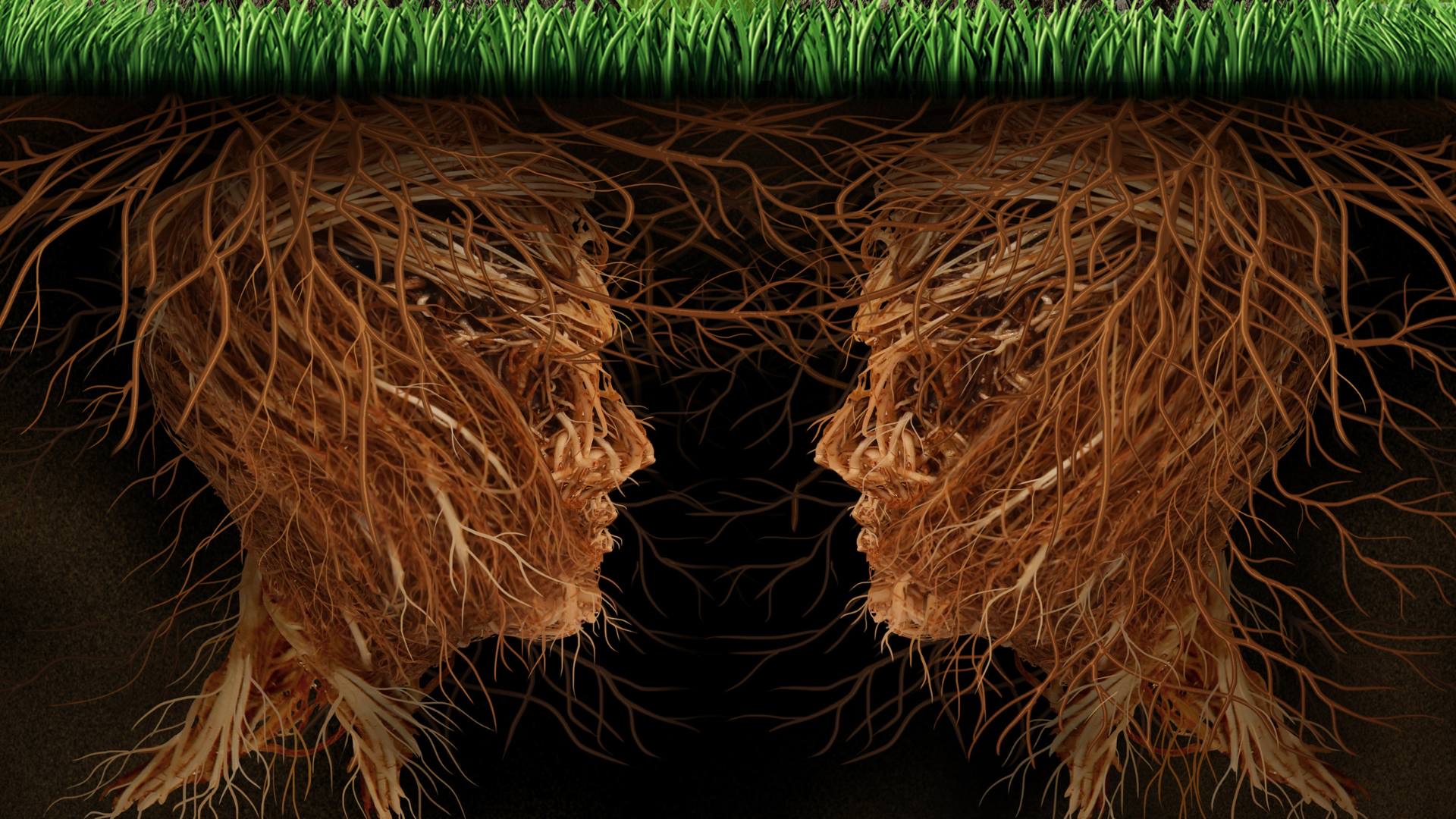 The Root Cause Challenge